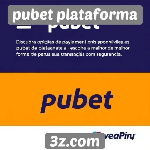 Opções de pagamento na pubet plataforma